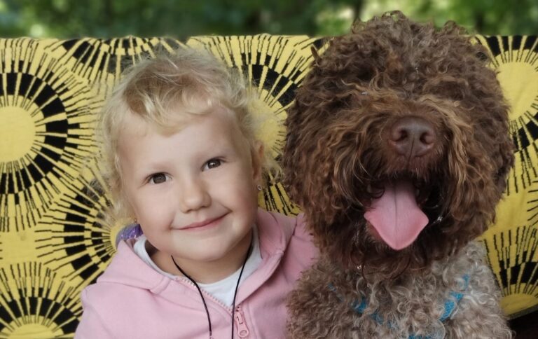 Lagotto romagnolo and little girl
